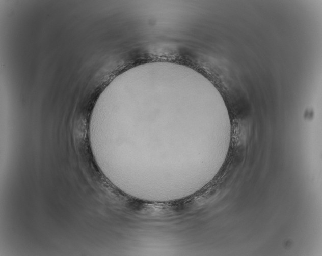 X0000096670713200802261452