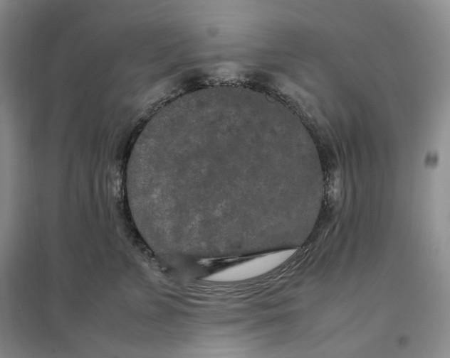 X0000096670715200802261452