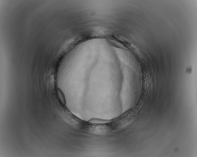 X0000096670716200802261452