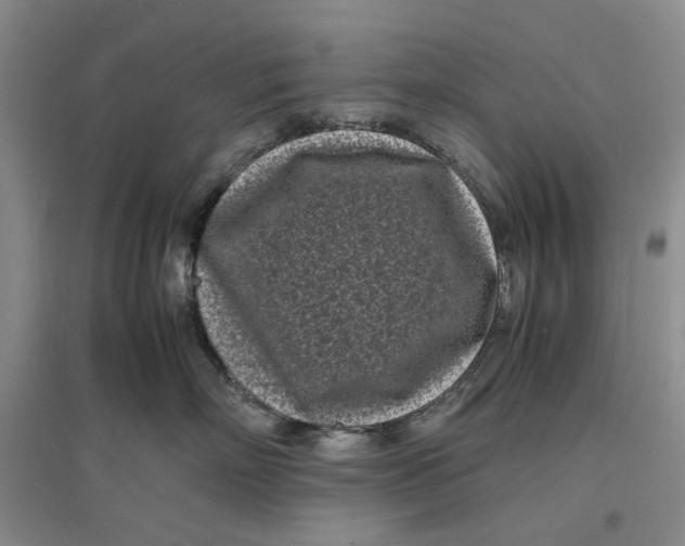 X0000096670718200802261452