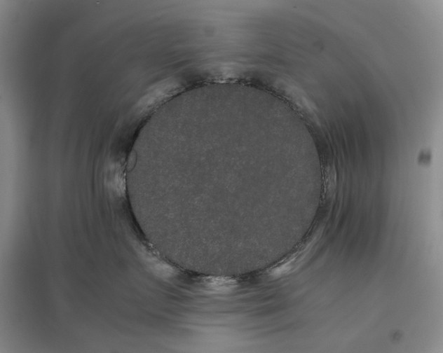 X0000096670719200802261452