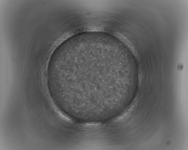 X0000096670721200802261451