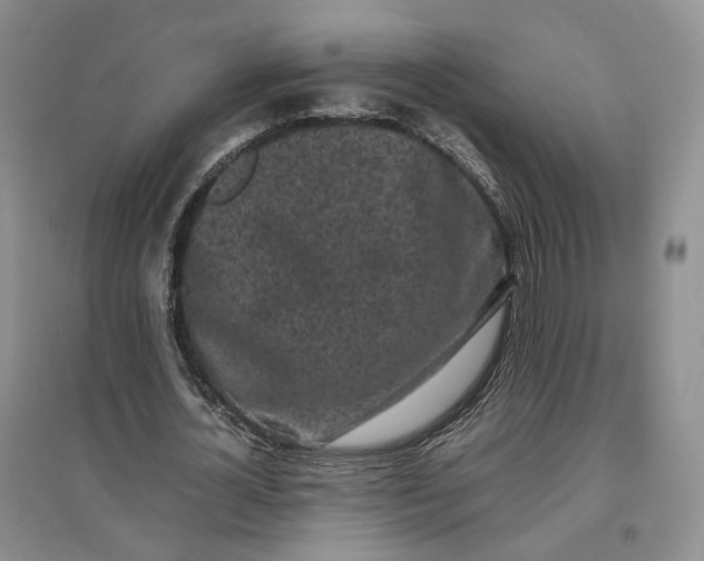 X0000096670724200802261451