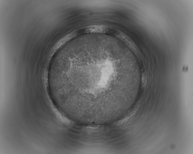 X0000096670725200802261451