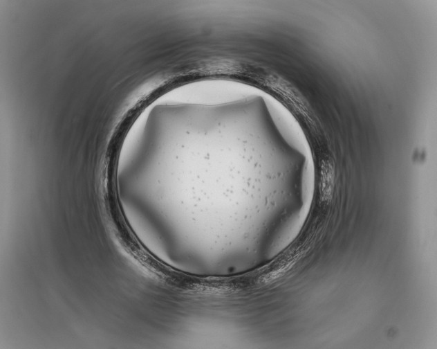 X0000096670726200802261451