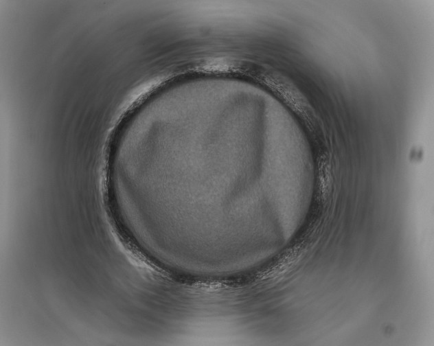 X0000096670728200802261452