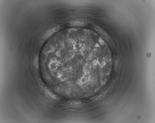 X0000096670729200802261452