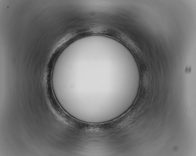 X0000096670730200802261452