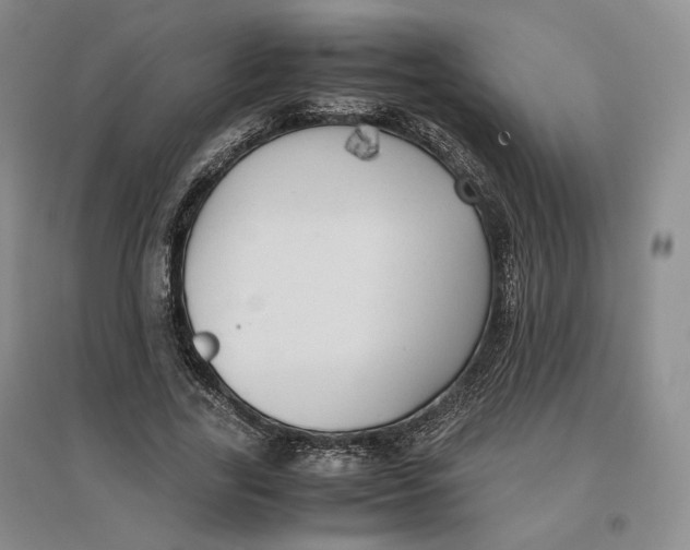 X0000096670731200802261452