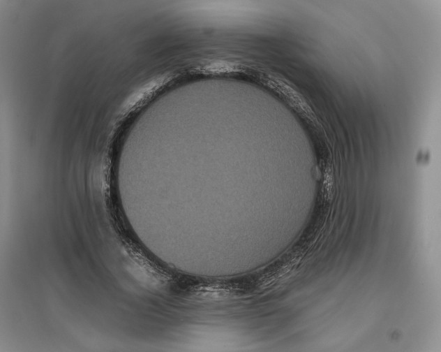 X0000096670732200802261452