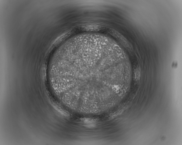 X0000096670733200802261452