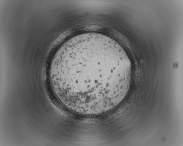 X0000096670734200802261452