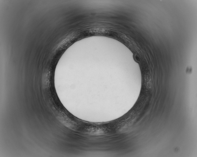 X0000096670735200802261452