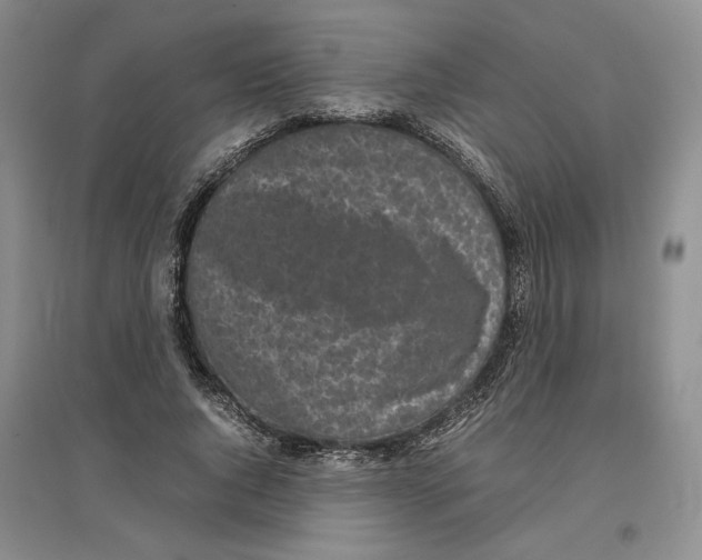 X0000096670736200802261452