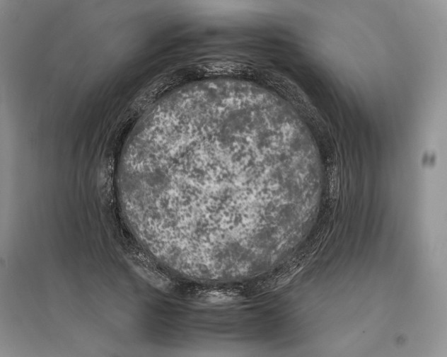 X0000096670737200802261452