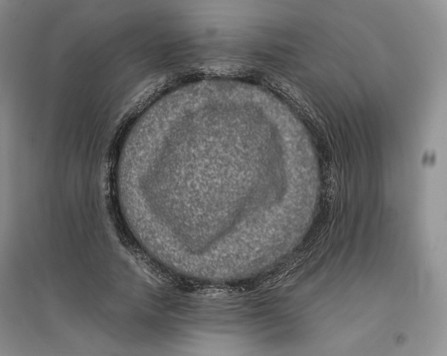 X0000096670738200802261452