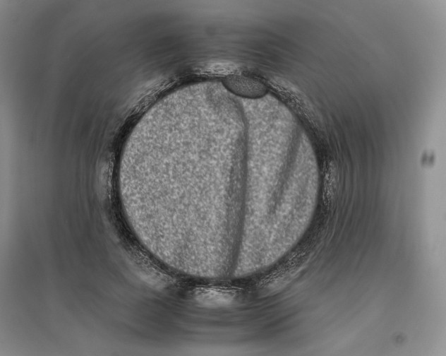 X0000096670739200802261452