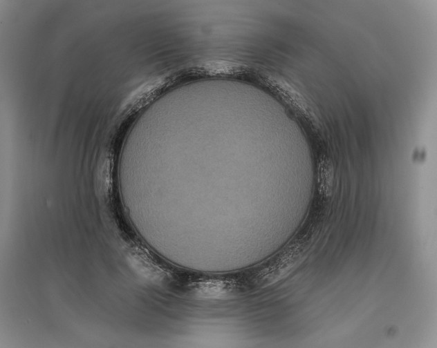 X0000096670740200802261452