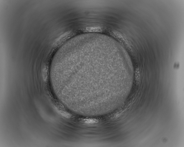 X0000096670741200802261452