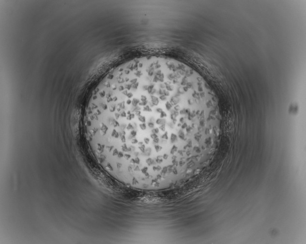 X0000096670742200802261452