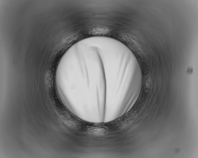 X0000096670743200802261452