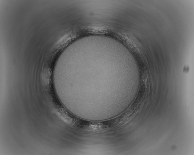 X0000096670744200802261452