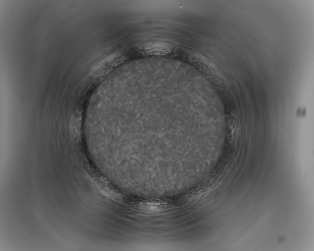 X0000096670745200802261452