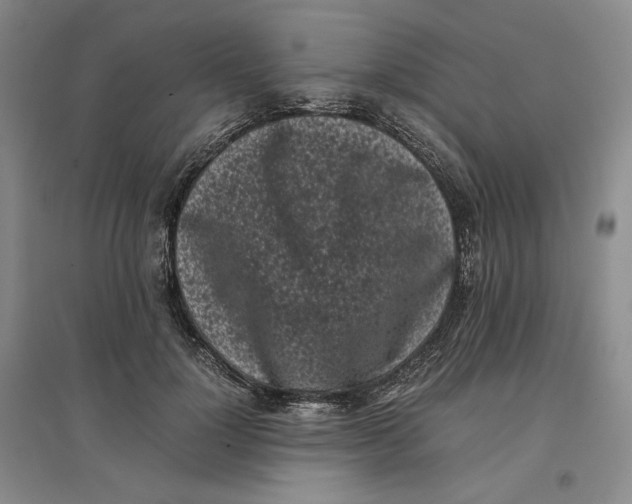 X0000096670748200802261452