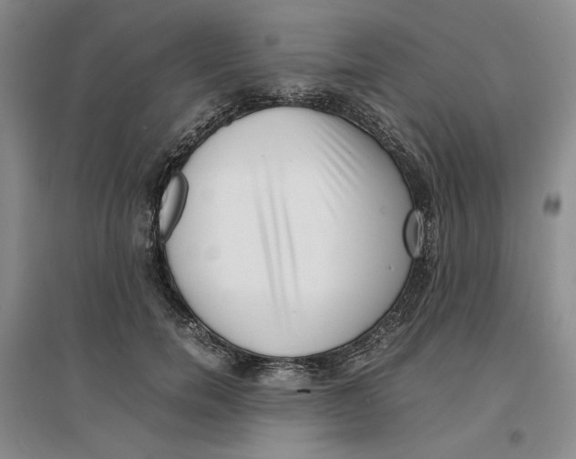 X0000096670750200802261452