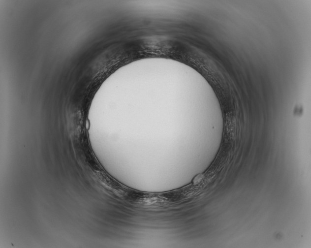 X0000096670752200802261452