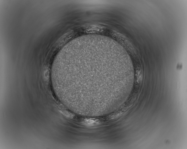 X0000096670753200802261452