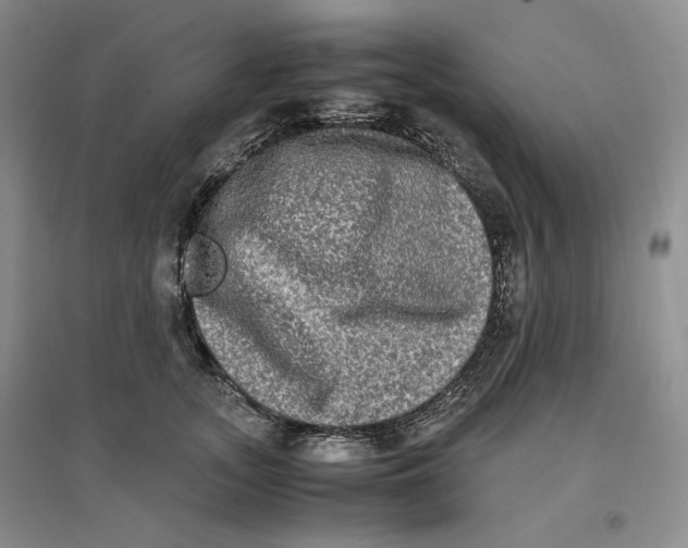 X0000096670755200802261452