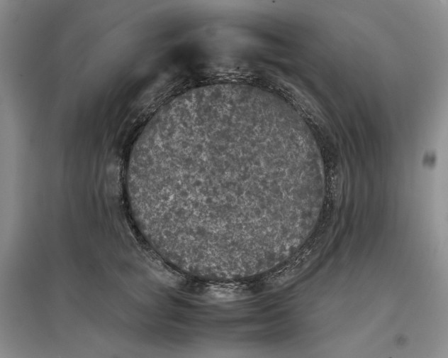 X0000096670757200802261452