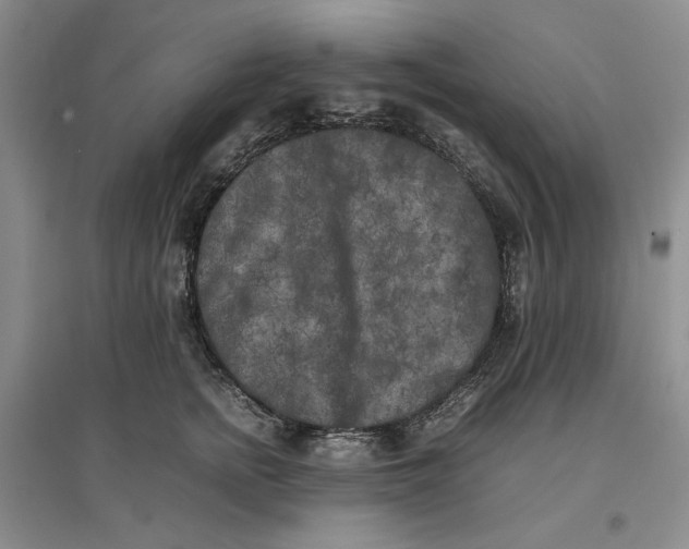 X0000096670758200802261452