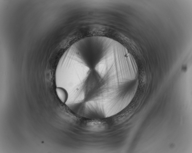 X0000096670759200802261452