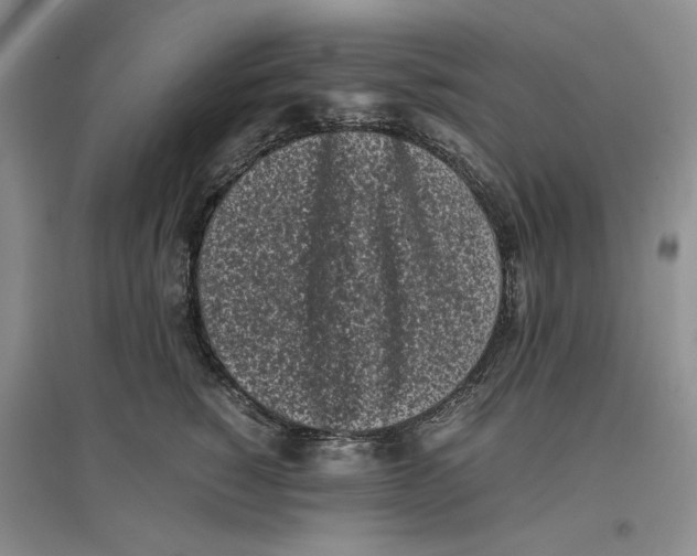 X0000096670760200802261452