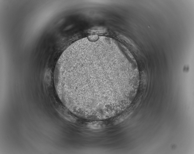 X0000096670761200802261452