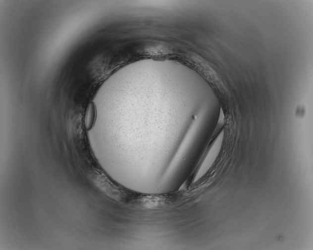 X0000096670762200802261452