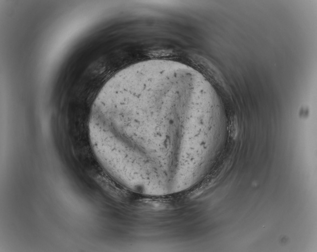 X0000096670763200802261452