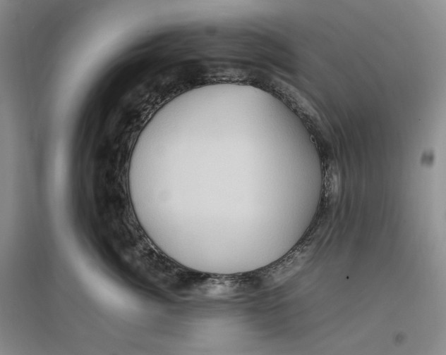 X0000096670764200802261452