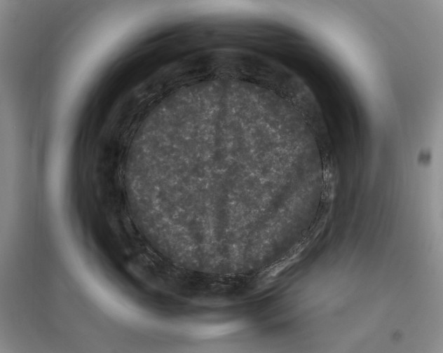 X0000096670765200802261452