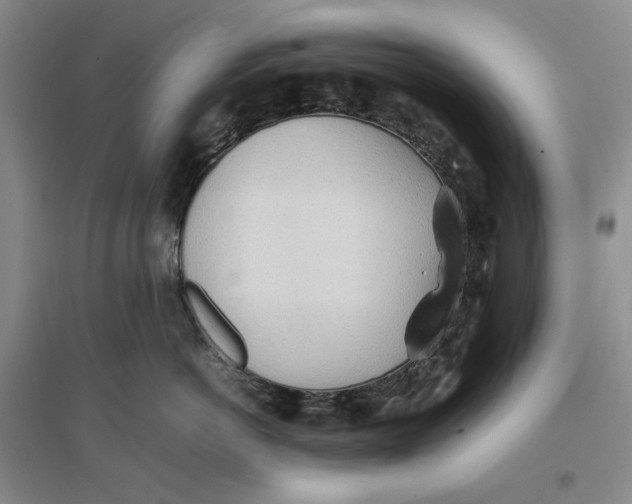 X0000096670766200802261452