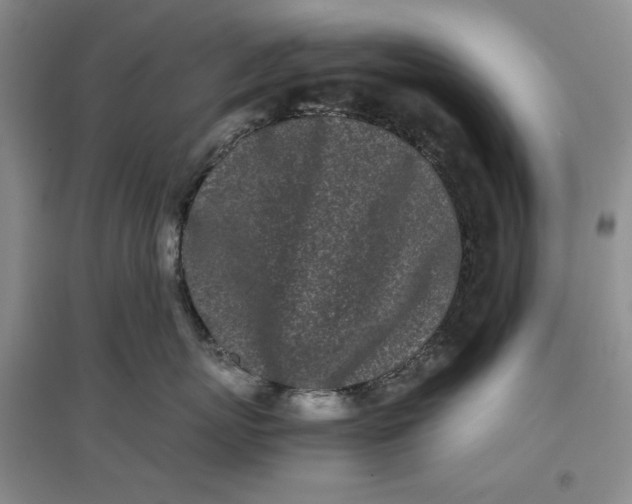 X0000096670767200802261452