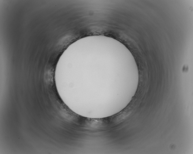 X0000096670768200802261452