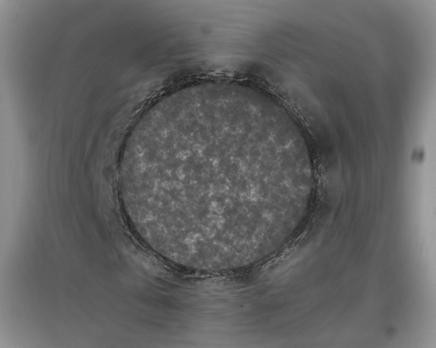 X0000096670769200802261451