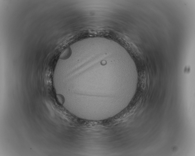 X0000096670770200802261451