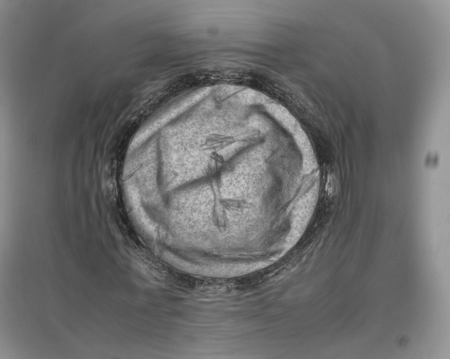 X0000096670771200802261451