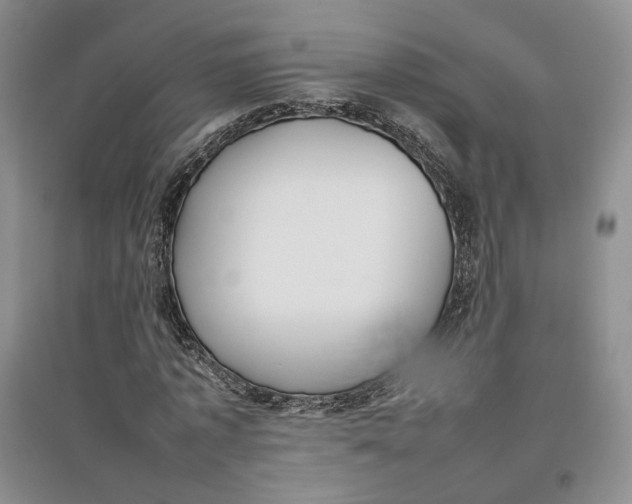 X0000096670773200802261451