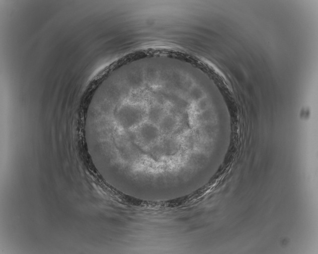 X0000096670775200802261451