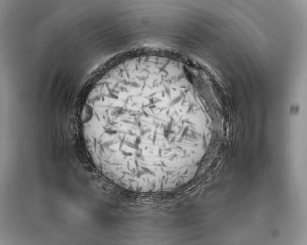 X0000096670776200802261451